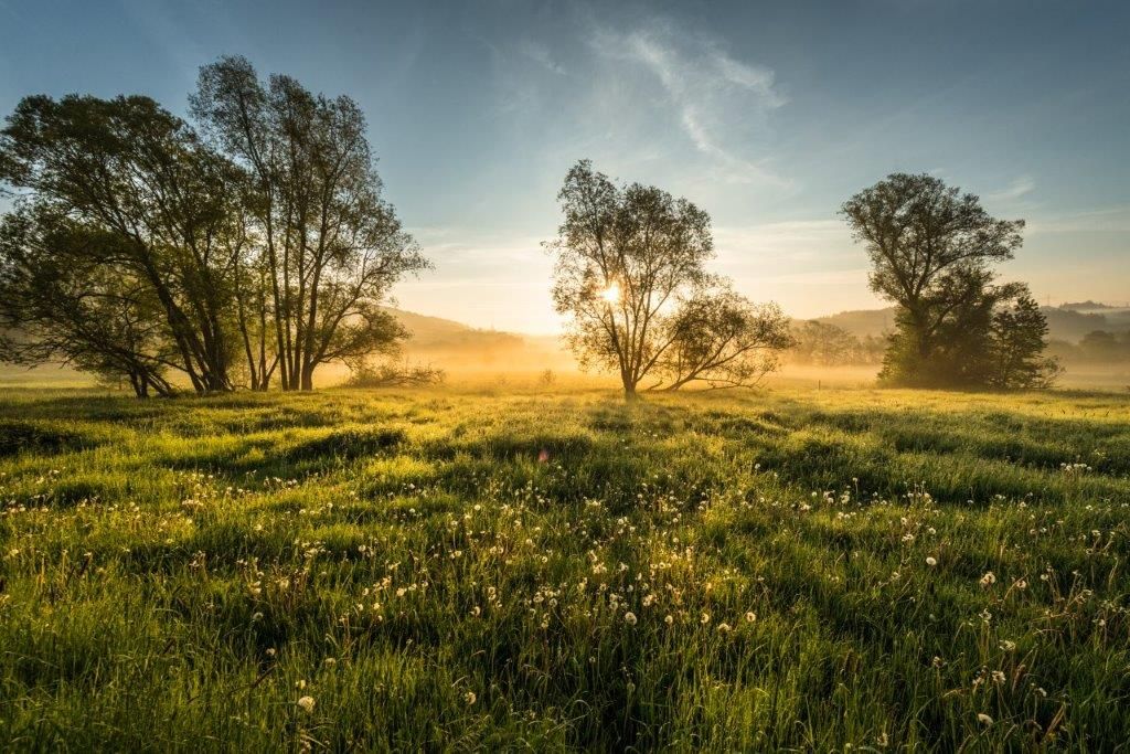 Morgenstimmung am Steinborn